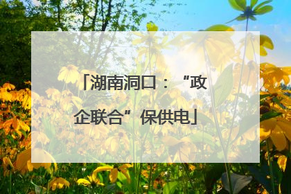 湖南洞口：“政企联合”保供电