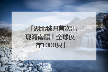 湖北秭归首次出现海南鳽！全球仅存1000只
