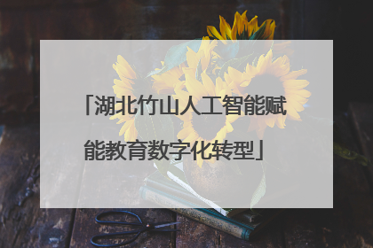 湖北竹山人工智能赋能教育数字化转型