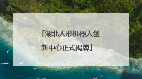 湖北人形机器人创新中心正式揭牌