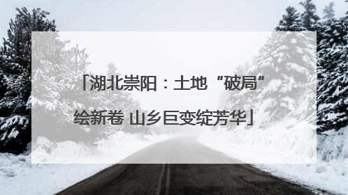 湖北崇阳：土地“破局”绘新卷 山乡巨变绽芳华