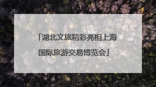 湖北文旅精彩亮相上海国际旅游交易博览会