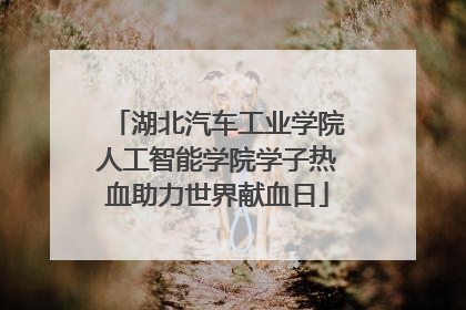 湖北汽车工业学院人工智能学院学子热血助力世界献血日