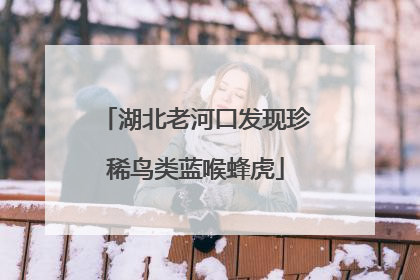 湖北老河口发现珍稀鸟类蓝喉蜂虎