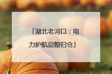 湖北老河口：电力护航夏粮归仓
