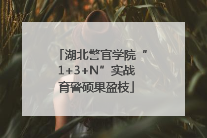 湖北警官学院“1+3+N”实战育警硕果盈枝