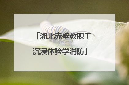 湖北赤壁教职工沉浸体验学消防