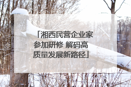 湘西民营企业家参加研修 解码高质量发展新路径