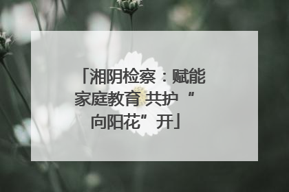 湘阴检察：赋能家庭教育 共护“向阳花”开