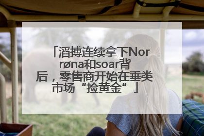 滔搏连续拿下Norrøna和soar背后，零售商开始在垂类市场“捡黄金”