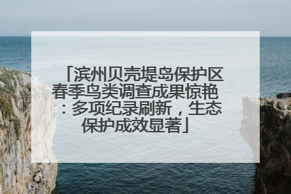 滨州贝壳堤岛保护区春季鸟类调查成果惊艳：多项纪录刷新，生态保护成效显著
