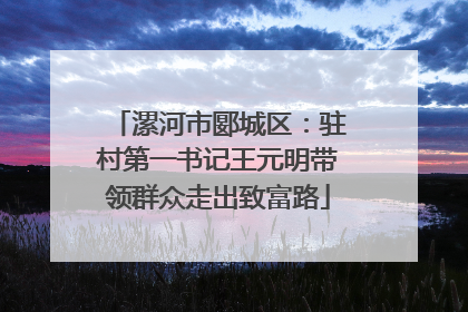 漯河市郾城区：驻村第一书记王元明带领群众走出致富路