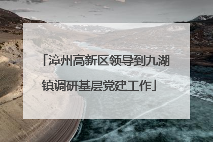 漳州高新区领导到九湖镇调研基层党建工作