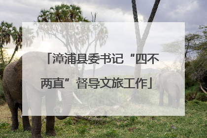 漳浦县委书记“四不两直”督导文旅工作