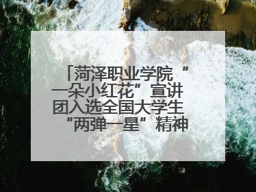 菏泽职业学院“一朵小红花”宣讲团入选全国大学生“两弹一星”精神宣讲团