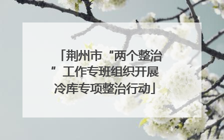 荆州市“两个整治”工作专班组织开展冷库专项整治行动