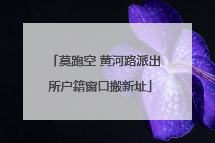 莫跑空 黄河路派出所户籍窗口搬新址
