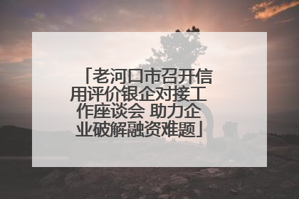 老河口市召开信用评价银企对接工作座谈会 助力企业破解融资难题