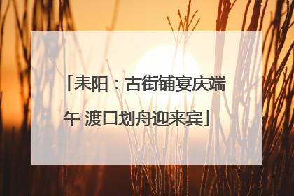 耒阳：古街铺宴庆端午 渡口划舟迎来宾