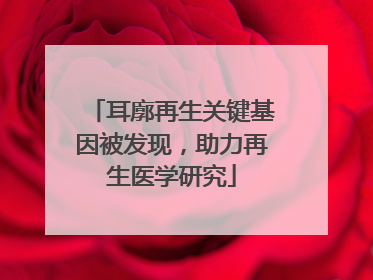 耳廓再生关键基因被发现，助力再生医学研究