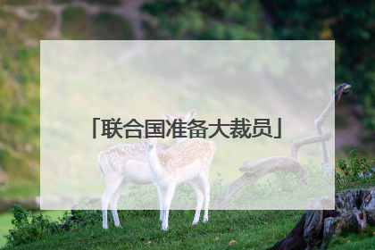 联合国准备大裁员