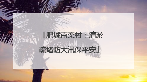 肥城南栾村：清淤疏堵防大汛保平安