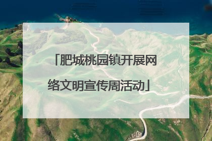 肥城桃园镇开展网络文明宣传周活动