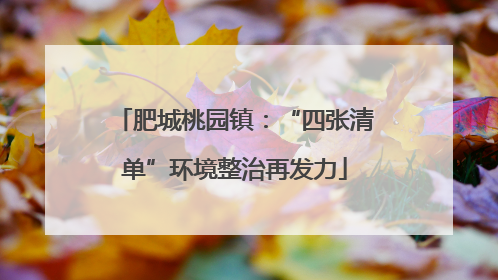 肥城桃园镇：“四张清单”环境整治再发力