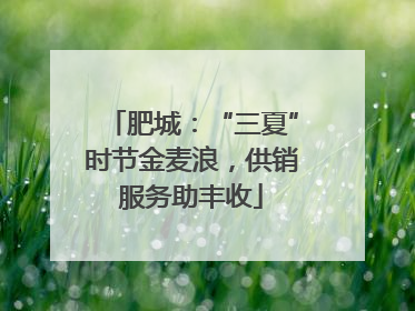 肥城：“三夏”时节金麦浪，供销服务助丰收