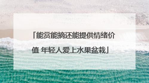 能赏能摘还能提供情绪价值 年轻人爱上水果盆栽