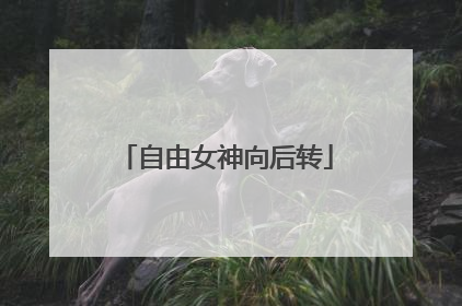 自由女神向后转