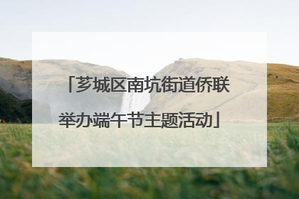 芗城区南坑街道侨联举办端午节主题活动