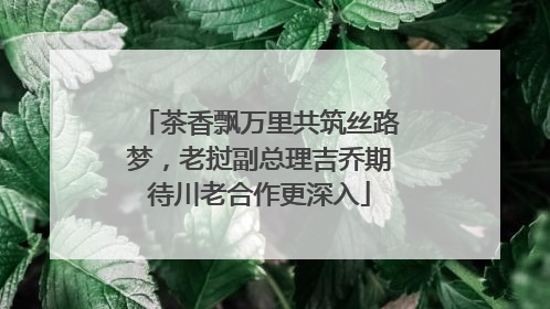 茶香飘万里共筑丝路梦，老挝副总理吉乔期待川老合作更深入