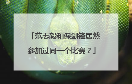 范志毅和保剑锋居然参加过同一个比赛？