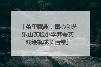 茧里藏趣，童心创艺 乐山实验小学养蚕实践绘就成长画卷