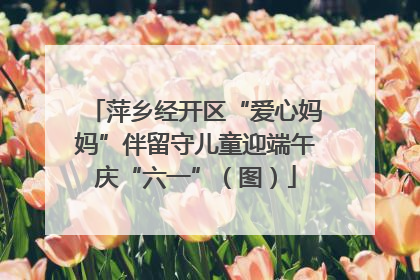 萍乡经开区“爱心妈妈”伴留守儿童迎端午庆“六一”（图）