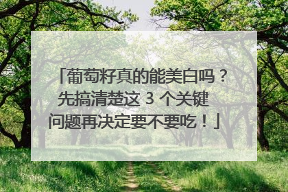 葡萄籽真的能美白吗？先搞清楚这 3 个关键问题再决定要不要吃！
