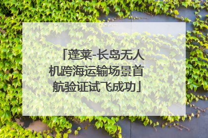 蓬莱-长岛无人机跨海运输场景首航验证试飞成功