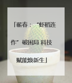 蕲春：“虾稻连作”破困局 科技赋能焕新生