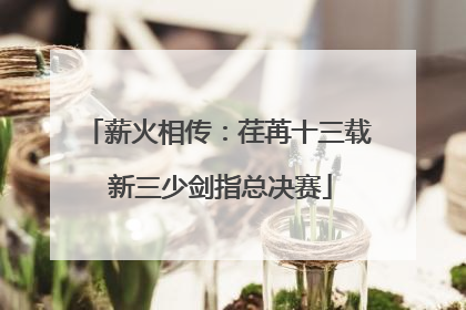薪火相传：荏苒十三载 新三少剑指总决赛