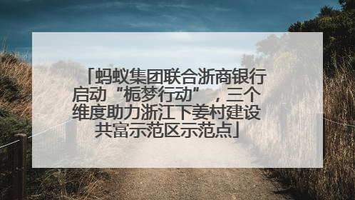 蚂蚁集团联合浙商银行启动“栀梦行动”，三个维度助力浙江下姜村建设共富示范区示范点