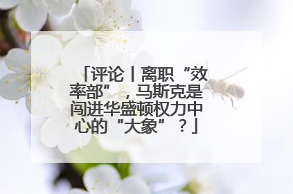 评论丨离职“效率部”，马斯克是闯进华盛顿权力中心的“大象”？