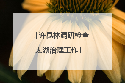 许昆林调研检查太湖治理工作