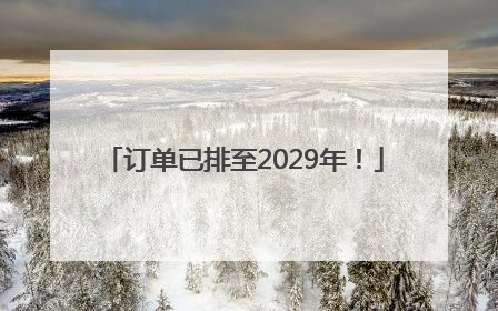 订单已排至2029年！