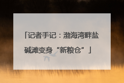 记者手记：渤海湾畔盐碱滩变身“新粮仓”