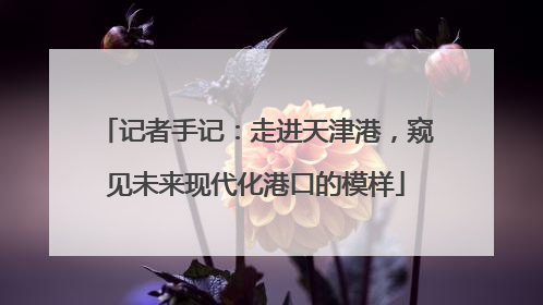 记者手记：走进天津港，窥见未来现代化港口的模样