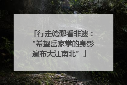 行走赣鄱看非遗：“希望岳家拳的身影遍布大江南北”