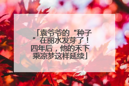袁爷爷的“种子”在丽水发芽了！四年后，他的禾下乘凉梦这样延续