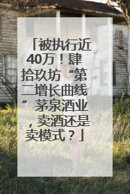 被执行近40万！肆拾玖坊“第二增长曲线”茅泉酒业，卖酒还是卖模式？