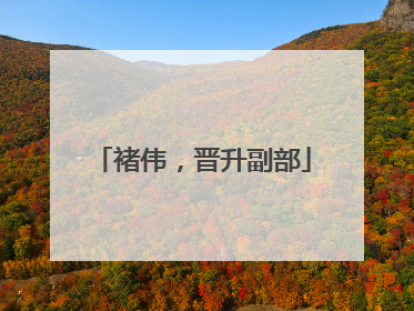褚伟，晋升副部